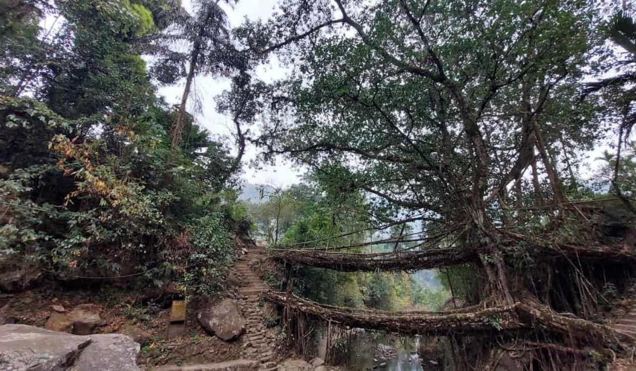 Odyssey Stays Nongriat - 3Kms Trek From Main Road Cherrapunji Ngoại thất bức ảnh