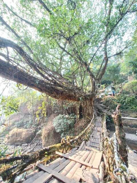 Odyssey Stays Nongriat - 3Kms Trek From Main Road Cherrapunji Ngoại thất bức ảnh