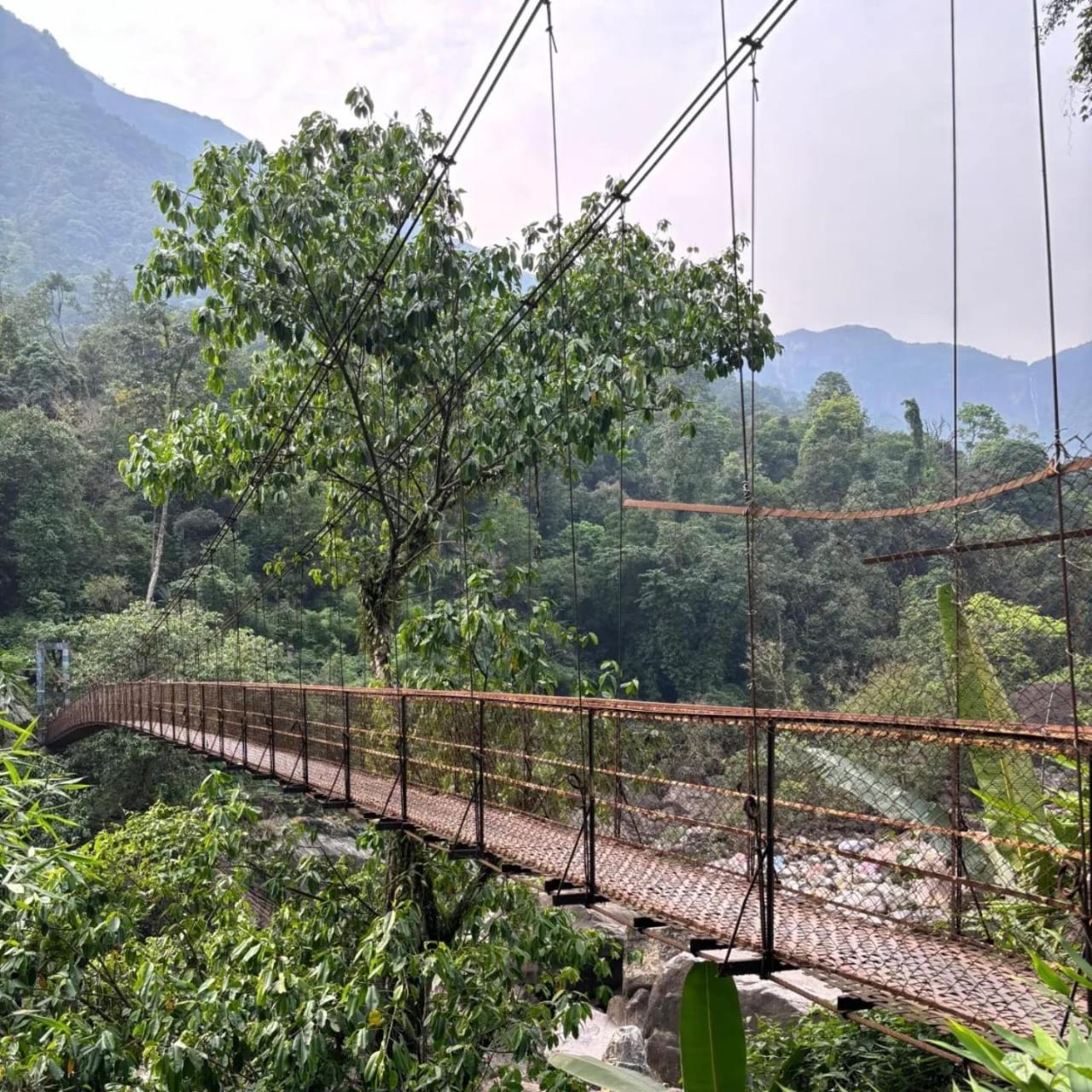 Odyssey Stays Nongriat - 3Kms Trek From Main Road Cherrapunji Ngoại thất bức ảnh