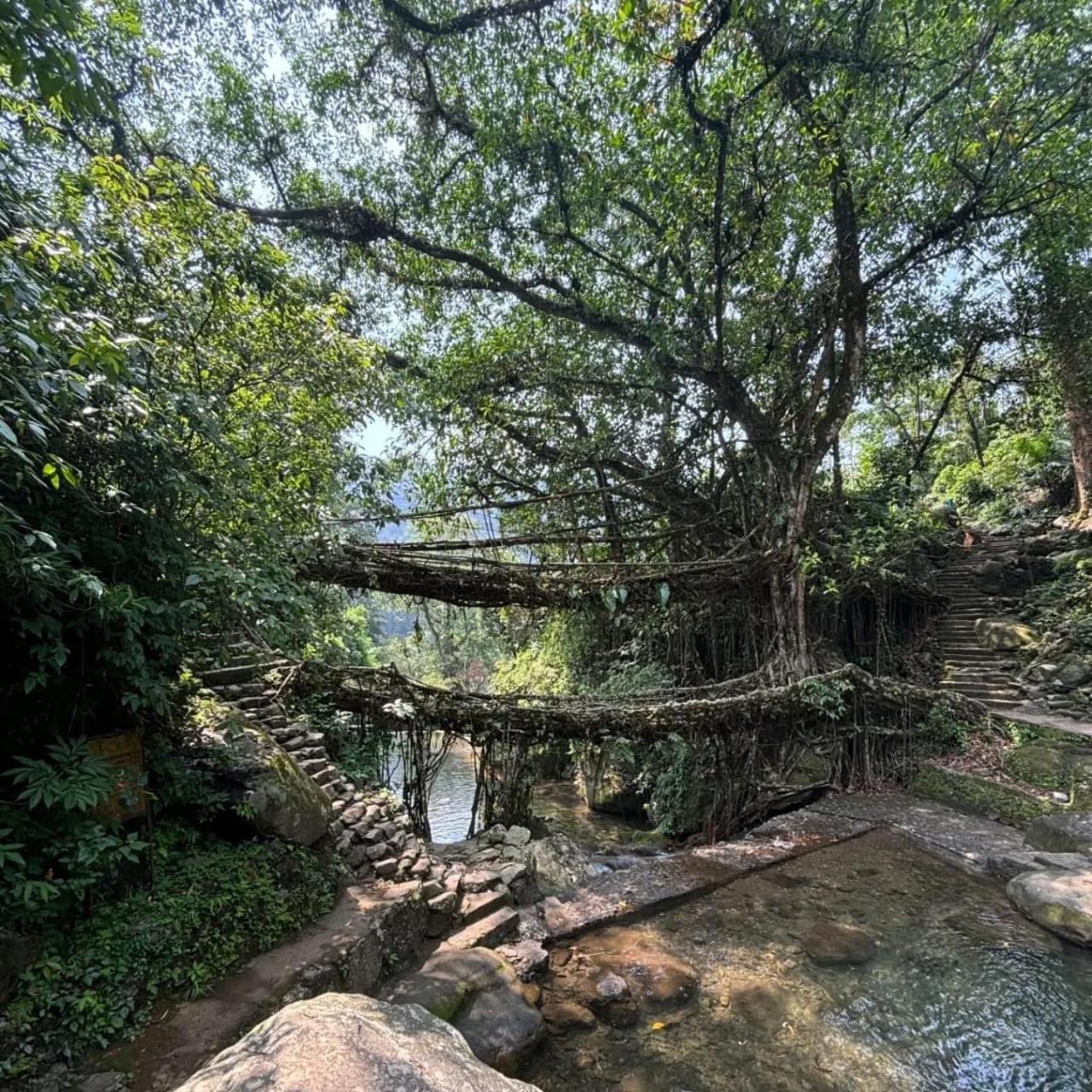 Odyssey Stays Nongriat - 3Kms Trek From Main Road Cherrapunji Ngoại thất bức ảnh
